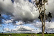 哪里能找到2019男篮世界杯回放完整版？赛事亮点与经典战役回顾